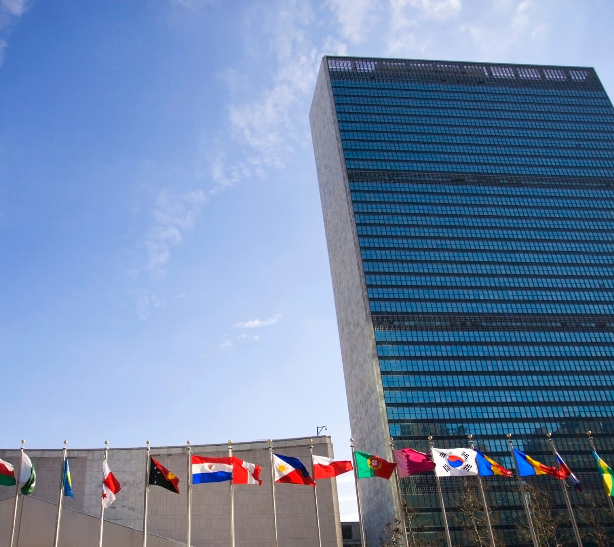COSP19 | UN Global Conference on Disability Rights and Inclusion